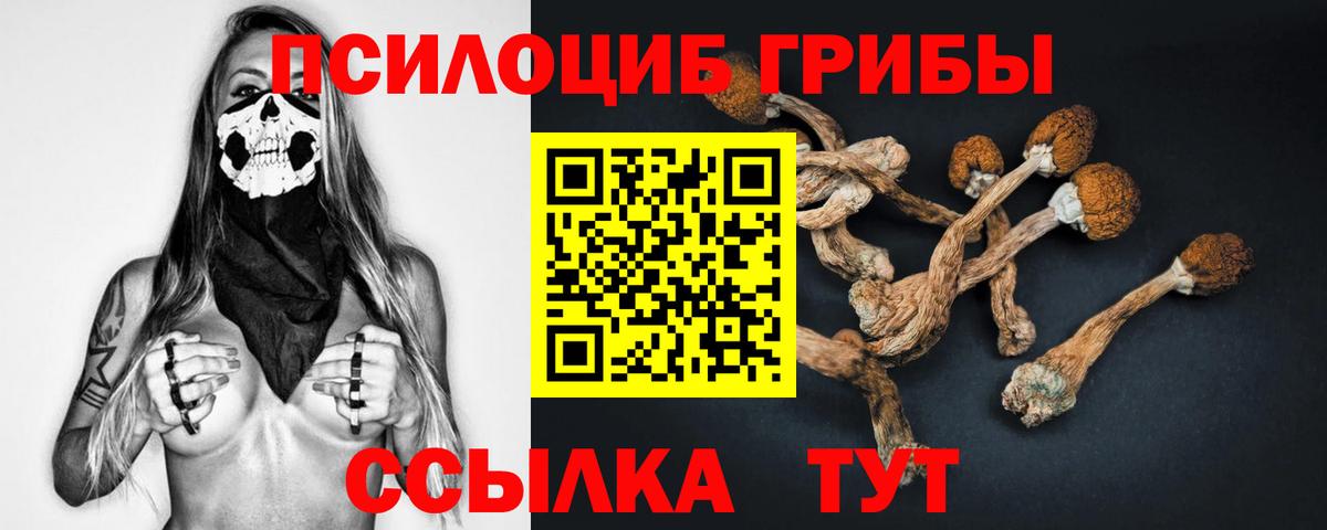 Галлюциногенные грибы Psilocybine cubensis  Вход с VPN  Печора 